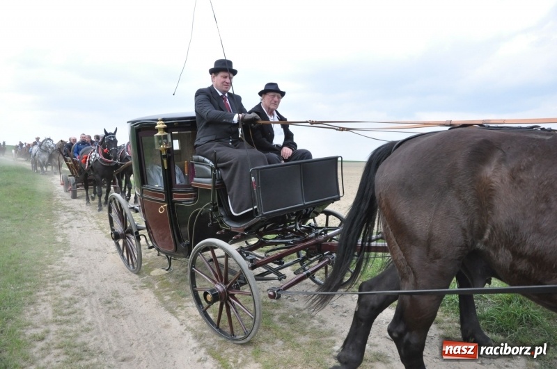 Zdjęcie w galerii na portalu naszraciborz.pl: Rekordowa liczba koni w Bieńkowicach [FOTO i WIDEO] wiadomości z regionu