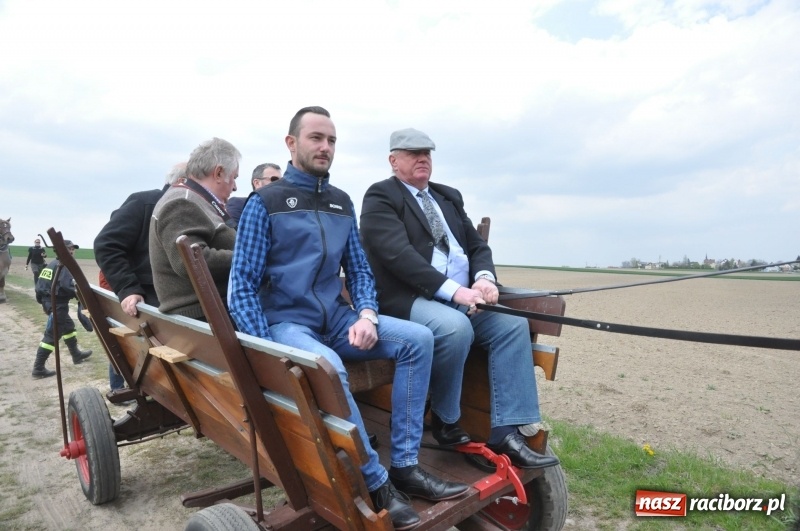 Zdjęcie w galerii na portalu naszraciborz.pl: Rekordowa liczba koni w Bieńkowicach [FOTO i WIDEO] wiadomości z regionu