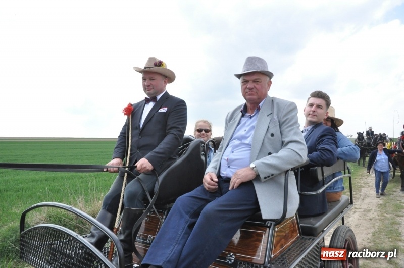 Zdjęcie w galerii na portalu naszraciborz.pl: Rekordowa liczba koni w Bieńkowicach [FOTO i WIDEO] wiadomości z regionu