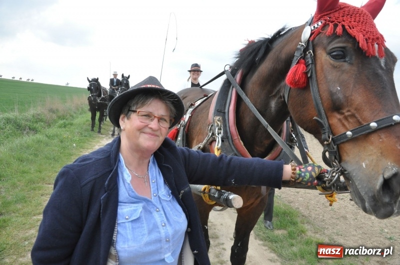 Zdjęcie w galerii na portalu naszraciborz.pl: Rekordowa liczba koni w Bieńkowicach [FOTO i WIDEO] wiadomości z regionu