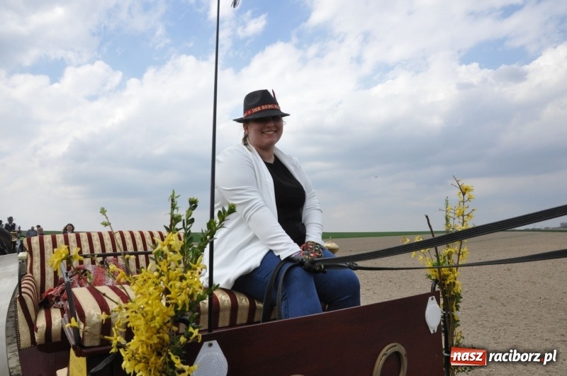 Zdjęcie w galerii na portalu naszraciborz.pl: Rekordowa liczba koni w Bieńkowicach [FOTO i WIDEO] wiadomości z regionu