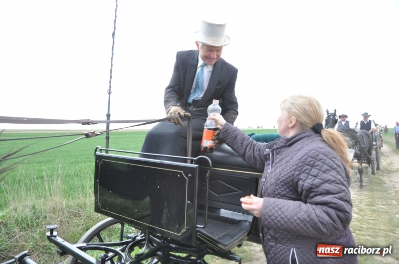 Zdjęcie w galerii na portalu naszraciborz.pl: Rekordowa liczba koni w Bieńkowicach [FOTO i WIDEO] wiadomości z regionu