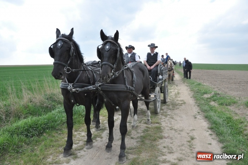 Zdjęcie w galerii na portalu naszraciborz.pl: Rekordowa liczba koni w Bieńkowicach [FOTO i WIDEO] wiadomości z regionu