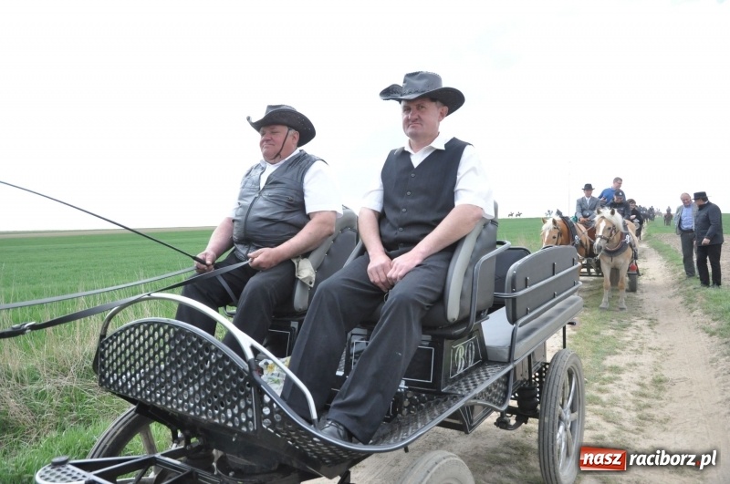 Zdjęcie w galerii na portalu naszraciborz.pl: Rekordowa liczba koni w Bieńkowicach [FOTO i WIDEO] wiadomości z regionu