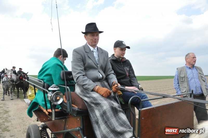 Zdjęcie w galerii na portalu naszraciborz.pl: Rekordowa liczba koni w Bieńkowicach [FOTO i WIDEO] wiadomości z regionu