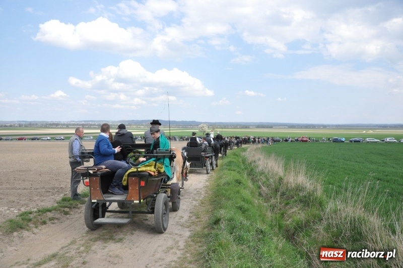 Zdjęcie w galerii na portalu naszraciborz.pl: Rekordowa liczba koni w Bieńkowicach [FOTO i WIDEO] wiadomości z regionu