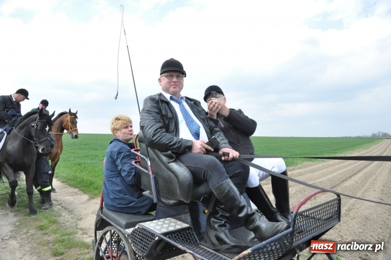 Zdjęcie w galerii na portalu naszraciborz.pl: Rekordowa liczba koni w Bieńkowicach [FOTO i WIDEO] wiadomości z regionu