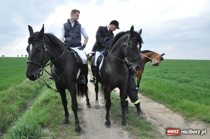 Zdjęcie w galerii na portalu naszraciborz.pl: Rekordowa liczba koni w Bieńkowicach [FOTO i WIDEO] wiadomości z regionu