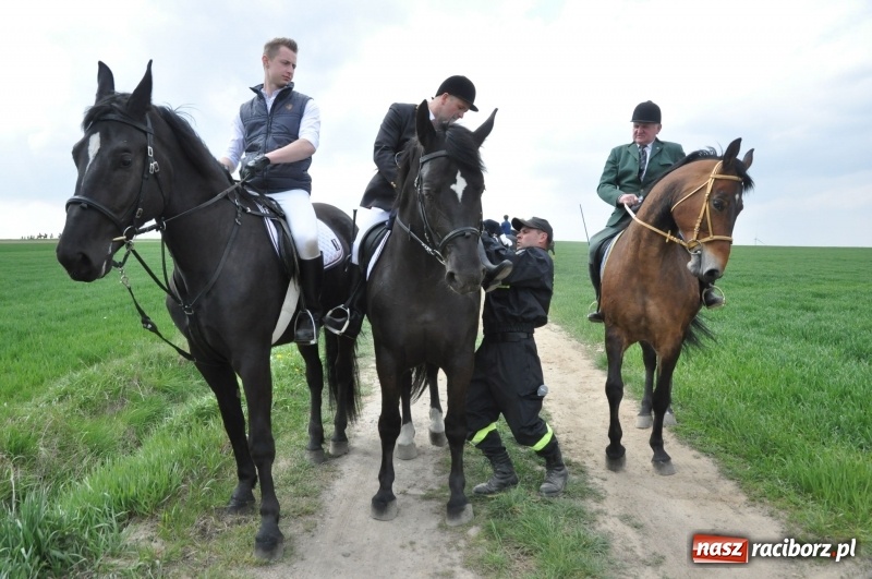 Zdjęcie w galerii na portalu naszraciborz.pl: Rekordowa liczba koni w Bieńkowicach [FOTO i WIDEO] wiadomości z regionu