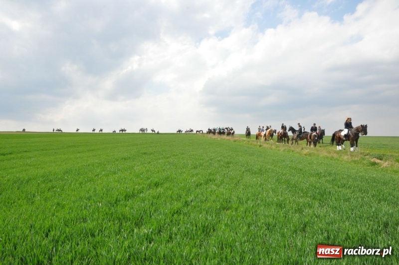 Zdjęcie w galerii na portalu naszraciborz.pl: Rekordowa liczba koni w Bieńkowicach [FOTO i WIDEO] wiadomości z regionu