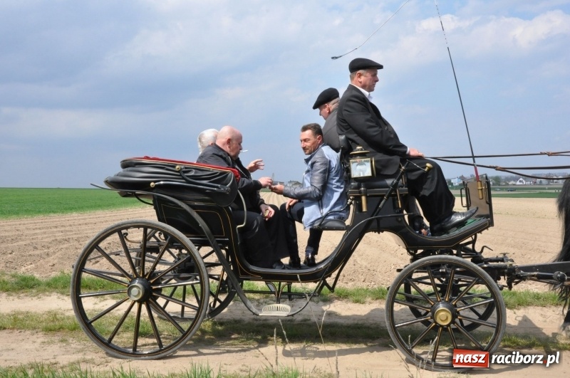 Zdjęcie w galerii na portalu naszraciborz.pl: Rekordowa liczba koni w Bieńkowicach [FOTO i WIDEO] wiadomości z regionu