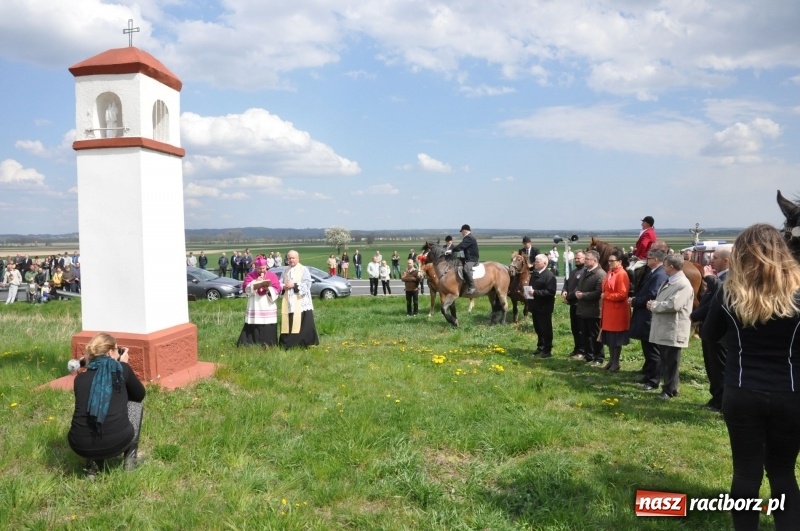 Zdjęcie w galerii na portalu naszraciborz.pl: Rekordowa liczba koni w Bieńkowicach [FOTO i WIDEO] wiadomości z regionu