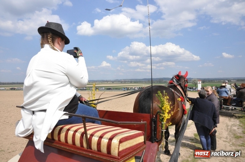 Zdjęcie w galerii na portalu naszraciborz.pl: Rekordowa liczba koni w Bieńkowicach [FOTO i WIDEO] wiadomości z regionu