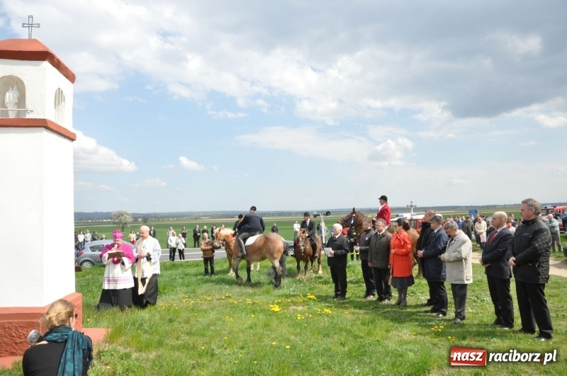 Zdjęcie w galerii na portalu naszraciborz.pl: Rekordowa liczba koni w Bieńkowicach [FOTO i WIDEO] wiadomości z regionu