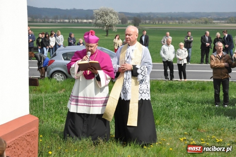 Zdjęcie w galerii na portalu naszraciborz.pl: Rekordowa liczba koni w Bieńkowicach [FOTO i WIDEO] wiadomości z regionu