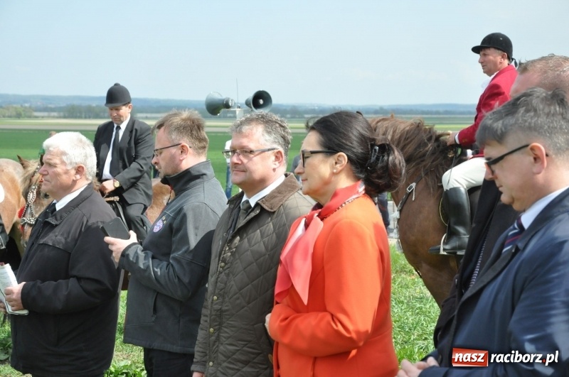 Zdjęcie w galerii na portalu naszraciborz.pl: Rekordowa liczba koni w Bieńkowicach [FOTO i WIDEO] wiadomości z regionu
