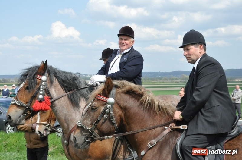 Zdjęcie w galerii na portalu naszraciborz.pl: Rekordowa liczba koni w Bieńkowicach [FOTO i WIDEO] wiadomości z regionu