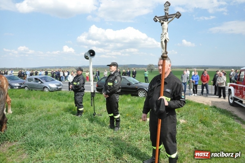 Zdjęcie w galerii na portalu naszraciborz.pl: Rekordowa liczba koni w Bieńkowicach [FOTO i WIDEO] wiadomości z regionu