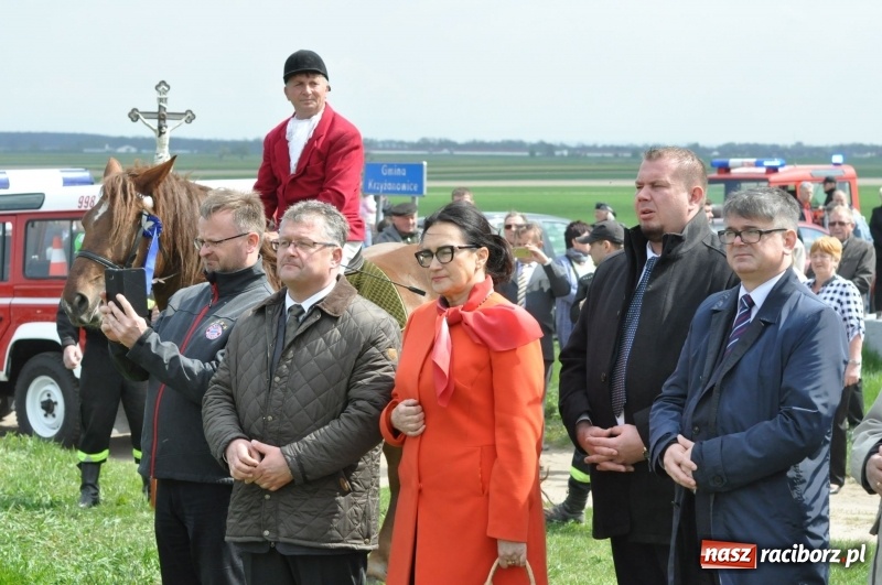 Zdjęcie w galerii na portalu naszraciborz.pl: Rekordowa liczba koni w Bieńkowicach [FOTO i WIDEO] wiadomości z regionu