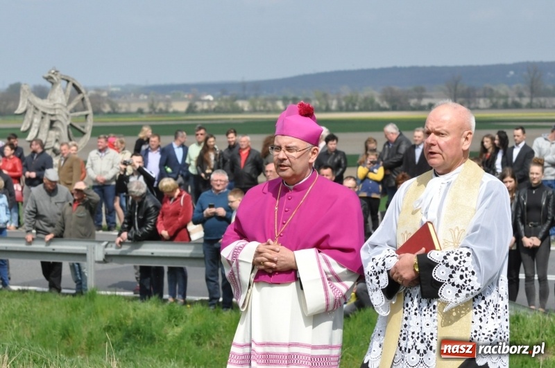 Zdjęcie w galerii na portalu naszraciborz.pl: Rekordowa liczba koni w Bieńkowicach [FOTO i WIDEO] wiadomości z regionu