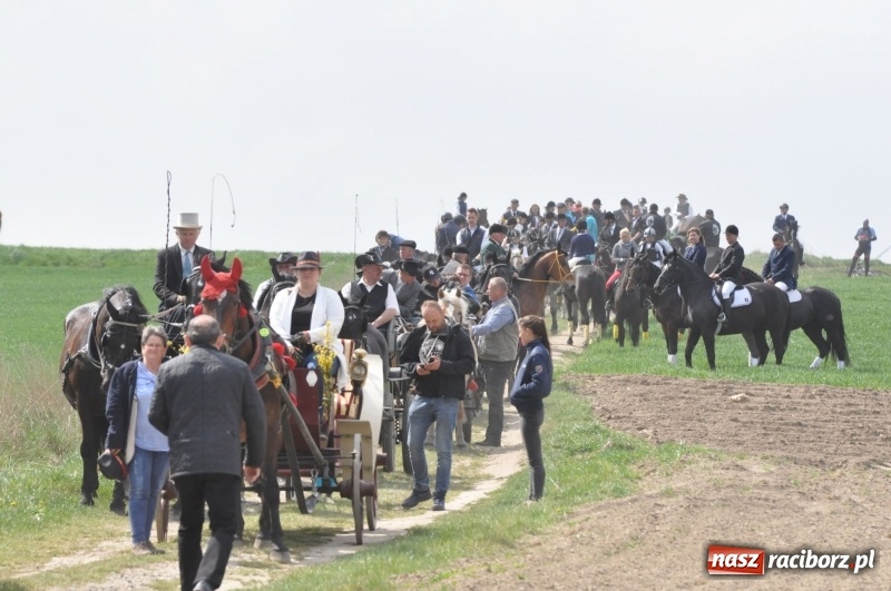 Zdjęcie w galerii na portalu naszraciborz.pl: Rekordowa liczba koni w Bieńkowicach [FOTO i WIDEO] wiadomości z regionu