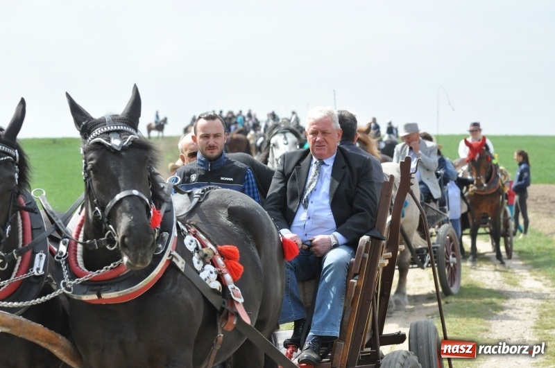 Zdjęcie w galerii na portalu naszraciborz.pl: Rekordowa liczba koni w Bieńkowicach [FOTO i WIDEO] wiadomości z regionu
