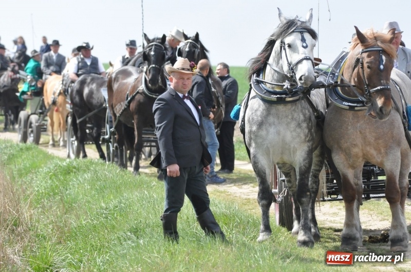 Zdjęcie w galerii na portalu naszraciborz.pl: Rekordowa liczba koni w Bieńkowicach [FOTO i WIDEO] wiadomości z regionu