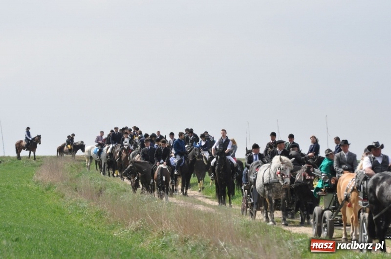 Zdjęcie w galerii na portalu naszraciborz.pl: Rekordowa liczba koni w Bieńkowicach [FOTO i WIDEO] wiadomości z regionu