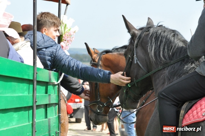 Zdjęcie w galerii na portalu naszraciborz.pl: Rekordowa liczba koni w Bieńkowicach [FOTO i WIDEO] wiadomości z regionu