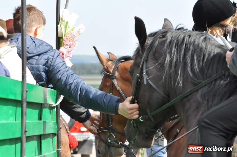 Zdjęcie w galerii na portalu naszraciborz.pl: Rekordowa liczba koni w Bieńkowicach [FOTO i WIDEO] wiadomości z regionu