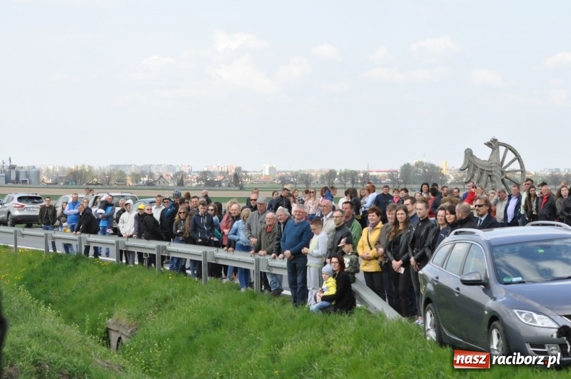 Zdjęcie w galerii na portalu naszraciborz.pl: Rekordowa liczba koni w Bieńkowicach [FOTO i WIDEO] wiadomości z regionu