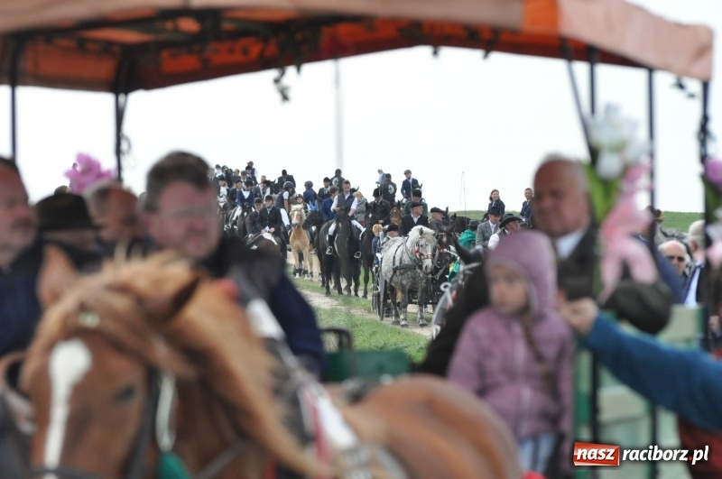Zdjęcie w galerii na portalu naszraciborz.pl: Rekordowa liczba koni w Bieńkowicach [FOTO i WIDEO] wiadomości z regionu
