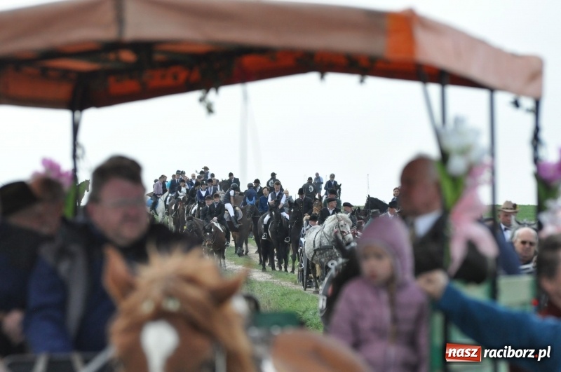 Zdjęcie w galerii na portalu naszraciborz.pl: Rekordowa liczba koni w Bieńkowicach [FOTO i WIDEO] wiadomości z regionu