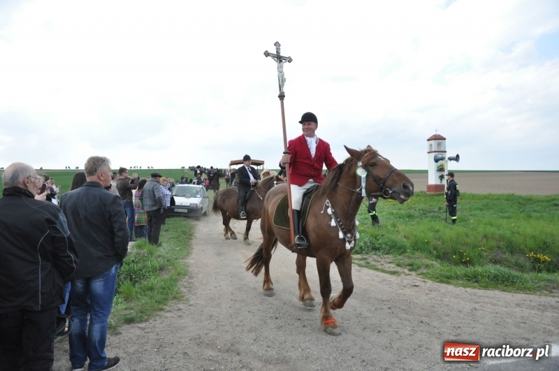 Zdjęcie w galerii na portalu naszraciborz.pl: Rekordowa liczba koni w Bieńkowicach [FOTO i WIDEO] wiadomości z regionu