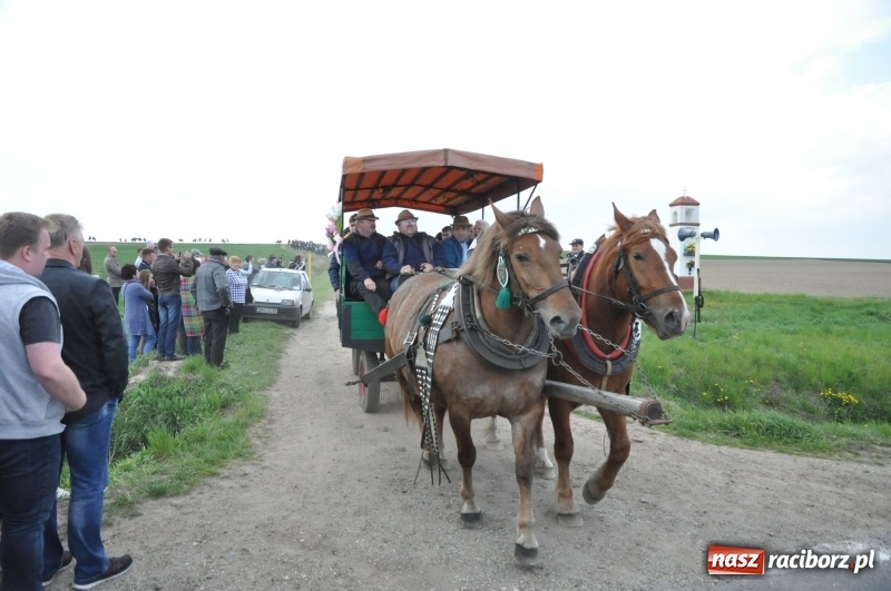 Zdjęcie w galerii na portalu naszraciborz.pl: Rekordowa liczba koni w Bieńkowicach [FOTO i WIDEO] wiadomości z regionu