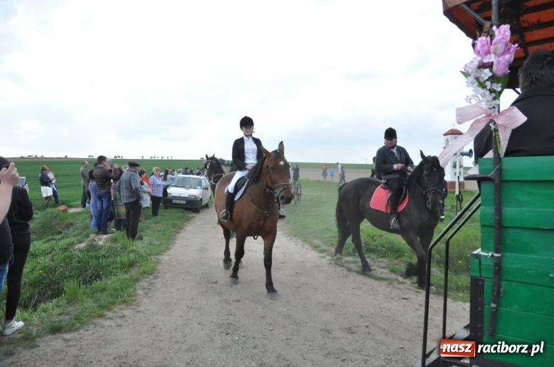 Zdjęcie w galerii na portalu naszraciborz.pl: Rekordowa liczba koni w Bieńkowicach [FOTO i WIDEO] wiadomości z regionu