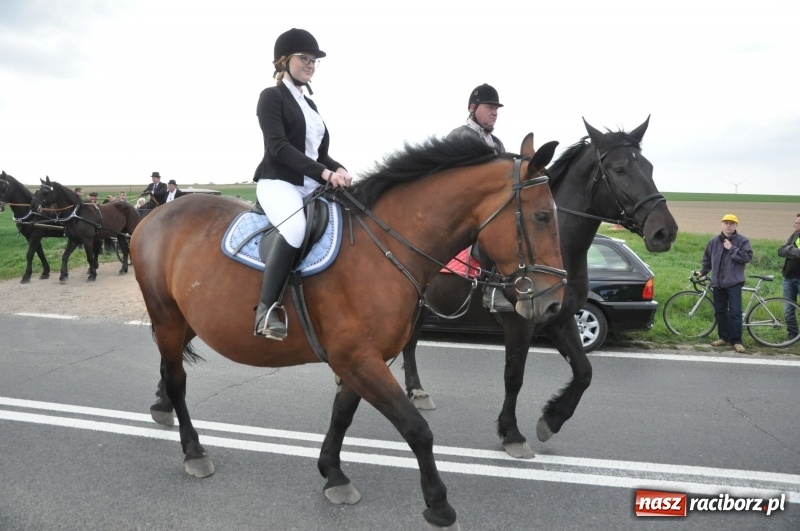 Zdjęcie w galerii na portalu naszraciborz.pl: Rekordowa liczba koni w Bieńkowicach [FOTO i WIDEO] wiadomości z regionu