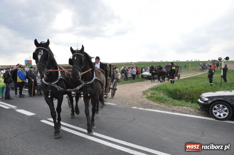 Zdjęcie w galerii na portalu naszraciborz.pl: Rekordowa liczba koni w Bieńkowicach [FOTO i WIDEO] wiadomości z regionu