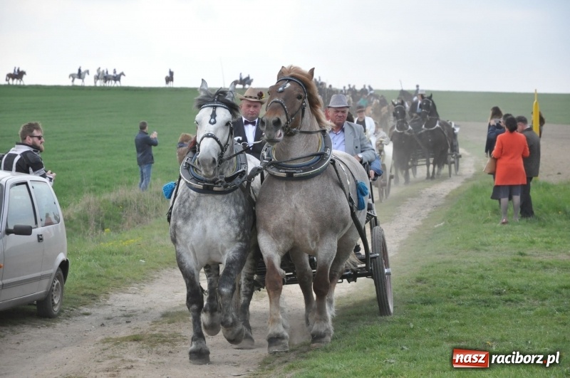 Zdjęcie w galerii na portalu naszraciborz.pl: Rekordowa liczba koni w Bieńkowicach [FOTO i WIDEO] wiadomości z regionu