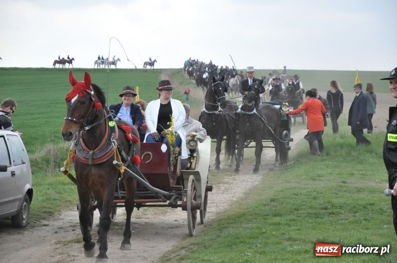 Zdjęcie w galerii na portalu naszraciborz.pl: Rekordowa liczba koni w Bieńkowicach [FOTO i WIDEO] wiadomości z regionu