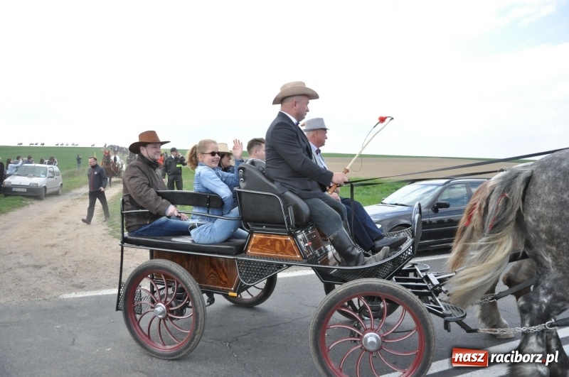 Zdjęcie w galerii na portalu naszraciborz.pl: Rekordowa liczba koni w Bieńkowicach [FOTO i WIDEO] wiadomości z regionu