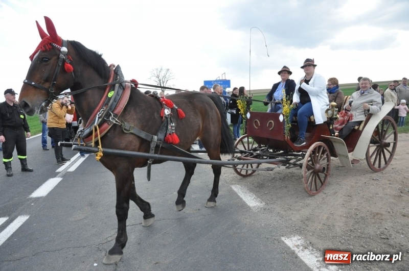 Zdjęcie w galerii na portalu naszraciborz.pl: Rekordowa liczba koni w Bieńkowicach [FOTO i WIDEO] wiadomości z regionu
