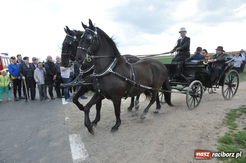 Zdjęcie w galerii na portalu naszraciborz.pl: Rekordowa liczba koni w Bieńkowicach [FOTO i WIDEO] wiadomości z regionu