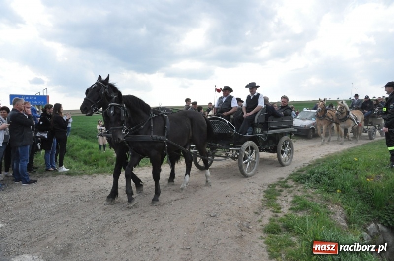 Zdjęcie w galerii na portalu naszraciborz.pl: Rekordowa liczba koni w Bieńkowicach [FOTO i WIDEO] wiadomości z regionu