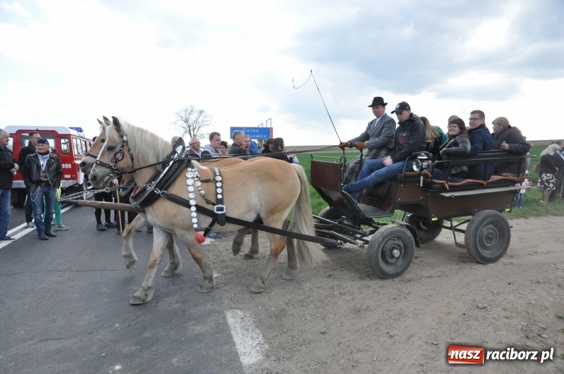 Zdjęcie w galerii na portalu naszraciborz.pl: Rekordowa liczba koni w Bieńkowicach [FOTO i WIDEO] wiadomości z regionu