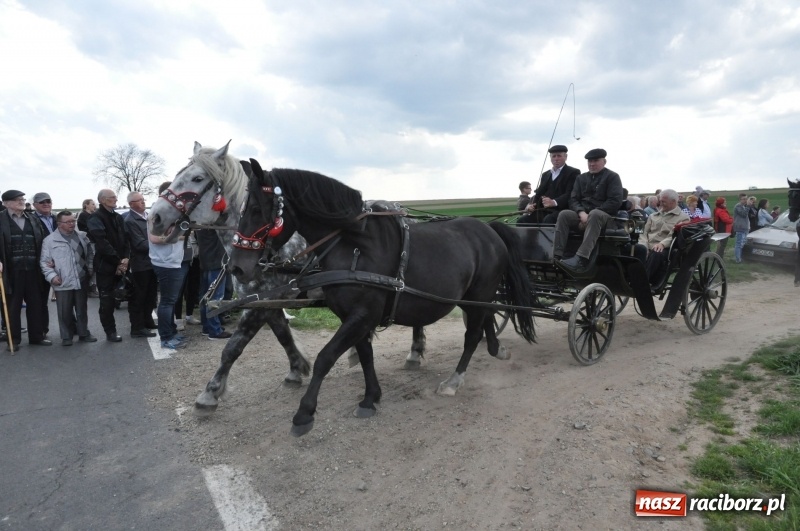 Zdjęcie w galerii na portalu naszraciborz.pl: Rekordowa liczba koni w Bieńkowicach [FOTO i WIDEO] wiadomości z regionu