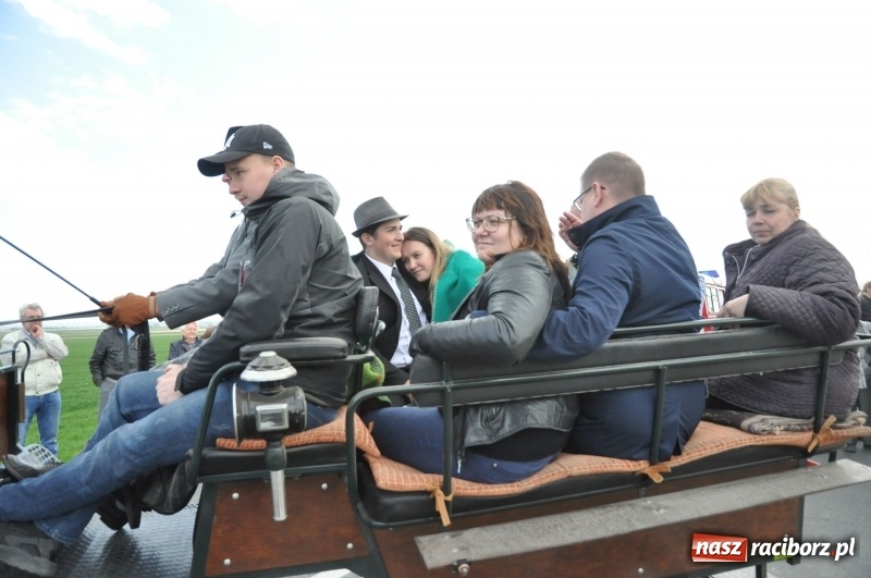 Zdjęcie w galerii na portalu naszraciborz.pl: Rekordowa liczba koni w Bieńkowicach [FOTO i WIDEO] wiadomości z regionu