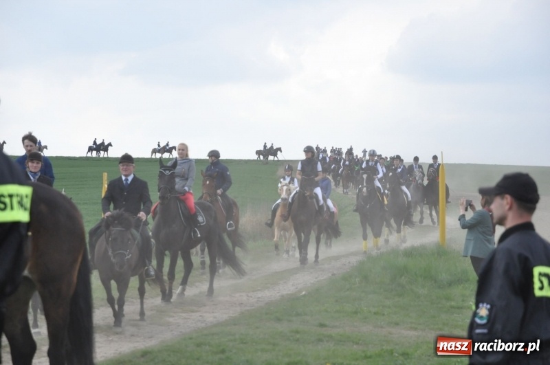 Zdjęcie w galerii na portalu naszraciborz.pl: Rekordowa liczba koni w Bieńkowicach [FOTO i WIDEO] wiadomości z regionu