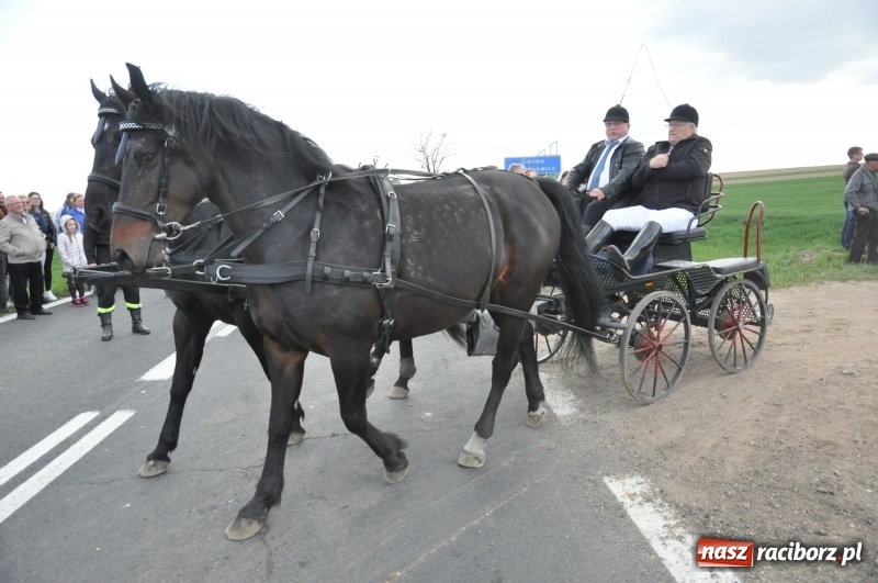 Zdjęcie w galerii na portalu naszraciborz.pl: Rekordowa liczba koni w Bieńkowicach [FOTO i WIDEO] wiadomości z regionu