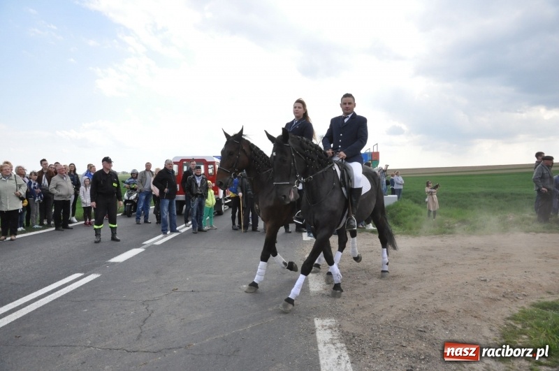 Zdjęcie w galerii na portalu naszraciborz.pl: Rekordowa liczba koni w Bieńkowicach [FOTO i WIDEO] wiadomości z regionu